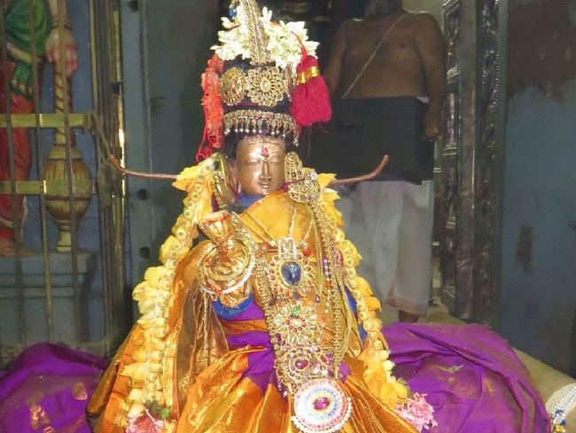 Kanchi Sri Devaperumal Panguni Uthiram utsavam Gandhapodi Vasantham 2015 -29