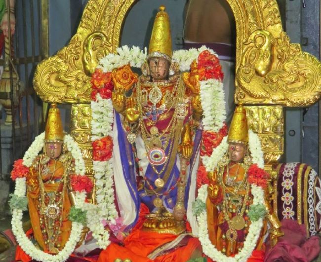 Kanchi Sri Devaperumal Panguni Uthiram utsavam Gandhapodi Vasantham 2015 -34