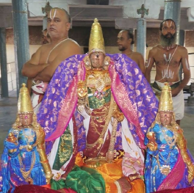 Kanchi Sri Devarajaswami Temple Manmadha Varusha Pirappu Purappadu 2015 -01