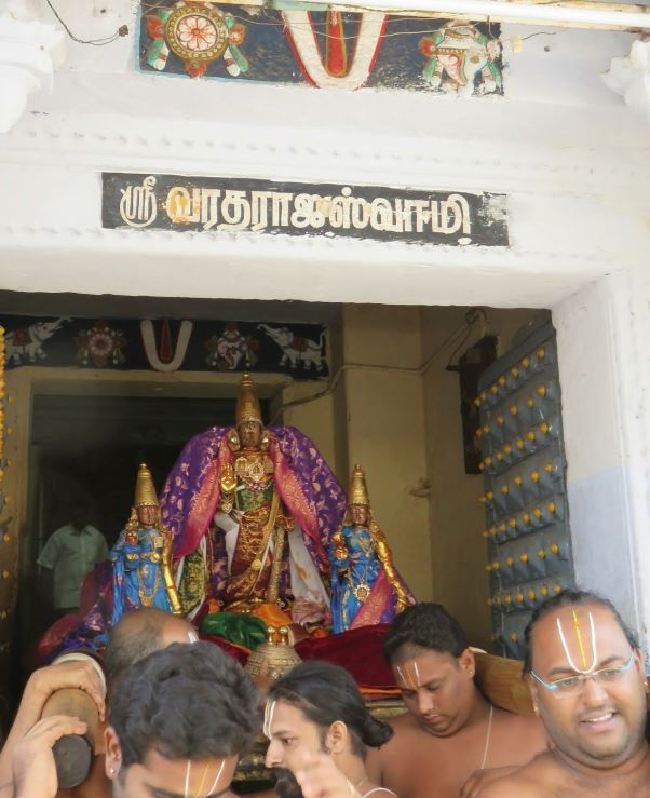 Kanchi Sri Devarajaswami Temple Manmadha Varusha Pirappu Purappadu 2015 -03