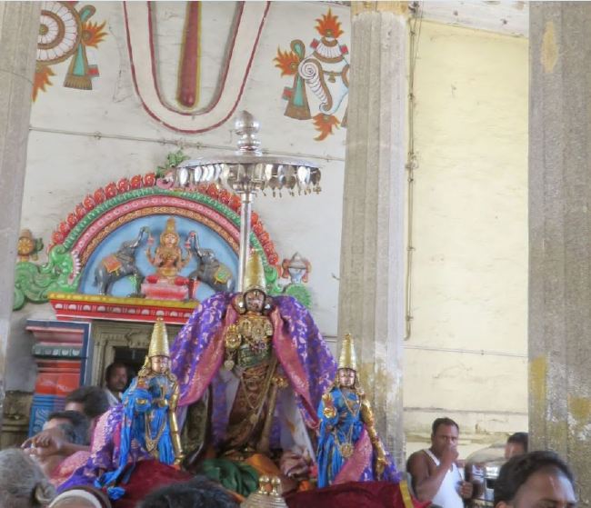 Kanchi Sri Devarajaswami Temple Manmadha Varusha Pirappu Purappadu 2015 -09
