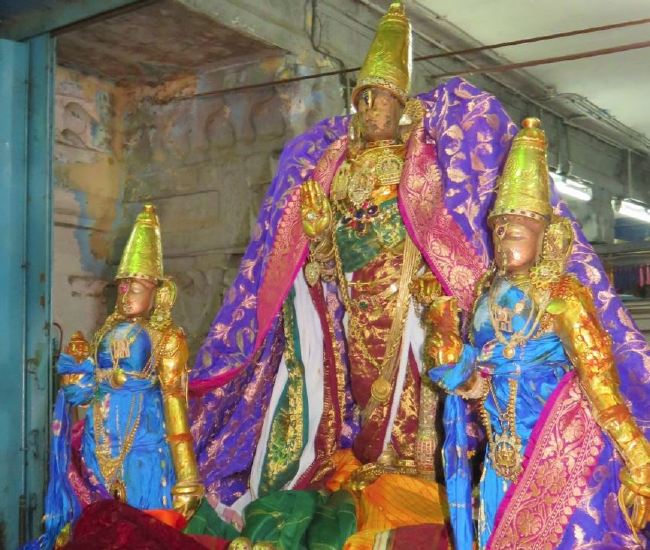 Kanchi Sri Devarajaswami Temple Manmadha Varusha Pirappu Purappadu 2015 -16