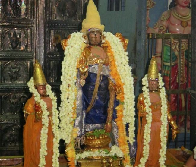 Kanchi Sri Devarajaswami Temple Manmadha Varusha Pirappu Purappadu 2015 -19