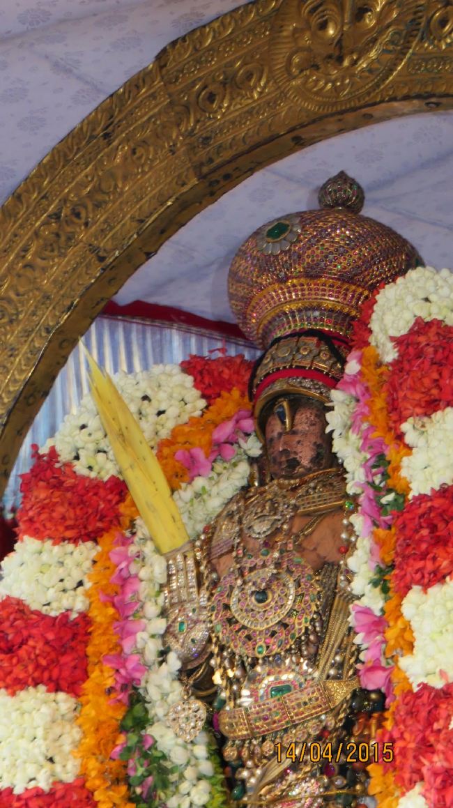 Kanchi Sri Devarajaswami Temple Manmadha Varusha Pirappu Purappadu 2015 -22