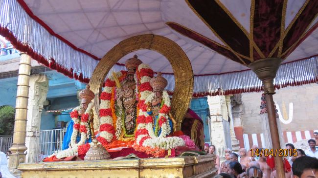 Kanchi Sri Devarajaswami Temple Manmadha Varusha Pirappu Purappadu 2015 -23