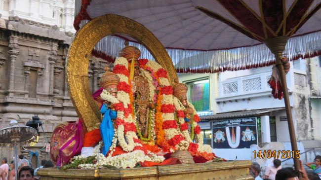Kanchi Sri Devarajaswami Temple Manmadha Varusha Pirappu Purappadu 2015 -28