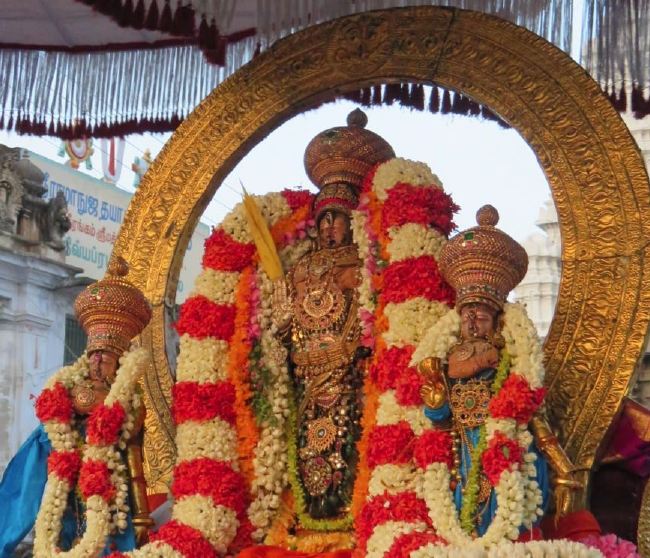 Kanchi Sri Devarajaswami Temple Manmadha Varusha Pirappu Purappadu 2015 -29
