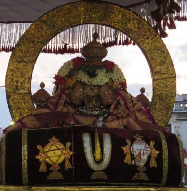 Kanchi Sri Devarajaswami Temple Manmadha Varusha Pirappu Purappadu 2015 -34