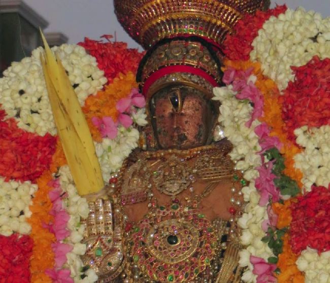 Kanchi Sri Devarajaswami Temple Manmadha Varusha Pirappu Purappadu 2015 -35