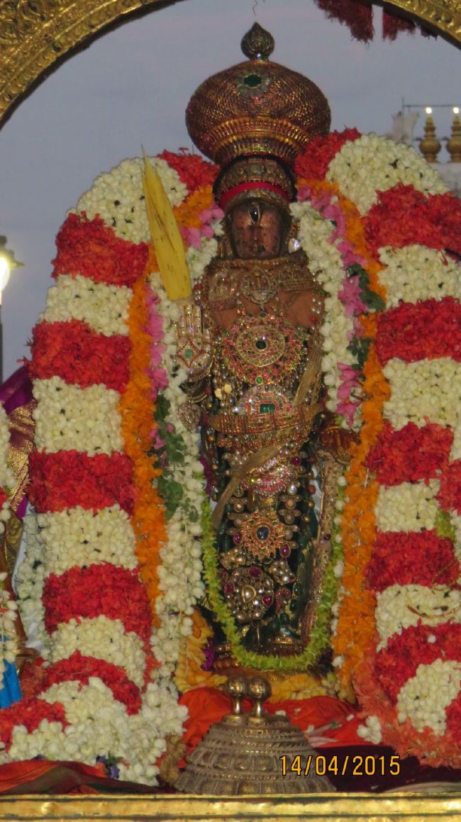 Kanchi Sri Devarajaswami Temple Manmadha Varusha Pirappu Purappadu 2015 -36