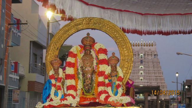 Kanchi Sri Devarajaswami Temple Manmadha Varusha Pirappu Purappadu 2015 -37