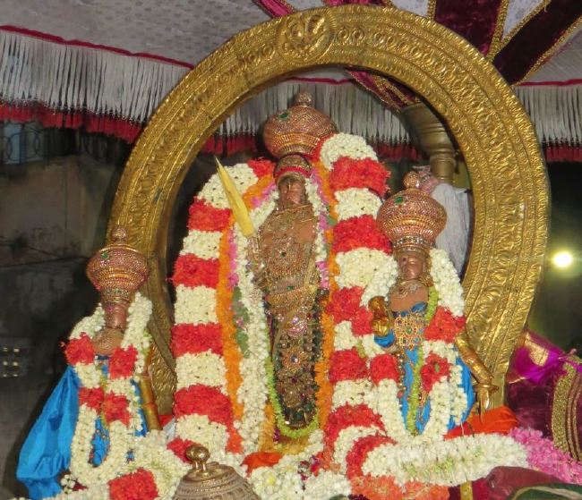 Kanchi Sri Devarajaswami Temple Manmadha Varusha Pirappu Purappadu 2015 -39