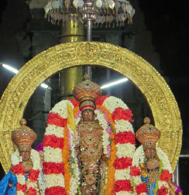 Kanchi Sri Devarajaswami Temple Manmadha Varusha Pirappu Purappadu 2015 -47
