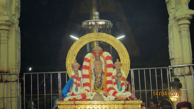 Kanchi Sri Devarajaswami Temple Manmadha Varusha Pirappu Purappadu 2015 -49