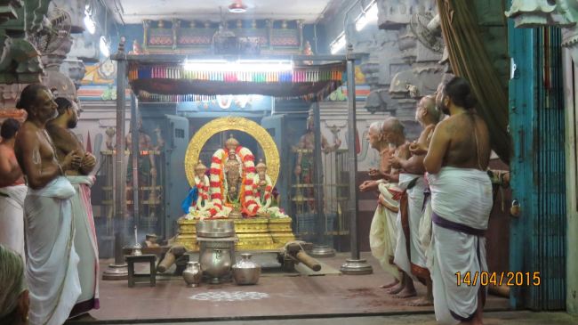 Kanchi Sri Devarajaswami Temple Manmadha Varusha Pirappu Purappadu 2015 -51