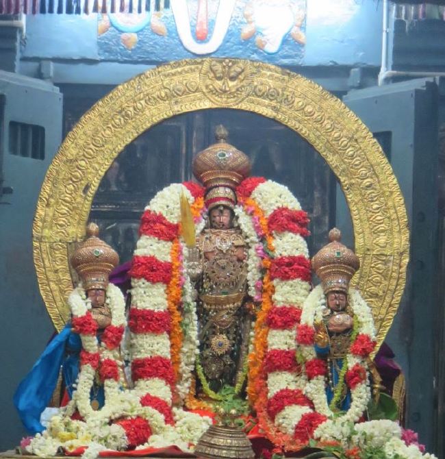 Kanchi Sri Devarajaswami Temple Manmadha Varusha Pirappu Purappadu 2015 -52