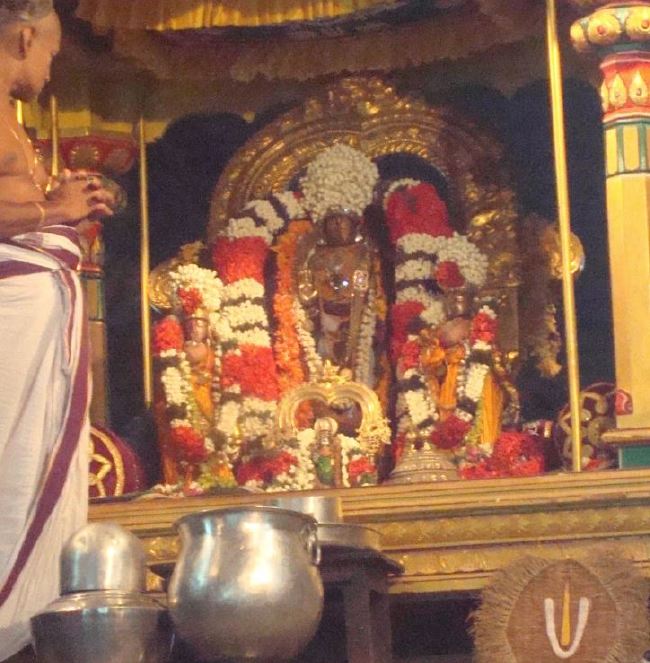 Kanchi Sri Devarajaswami Temple Pallava Utsavam day 1 2015 04