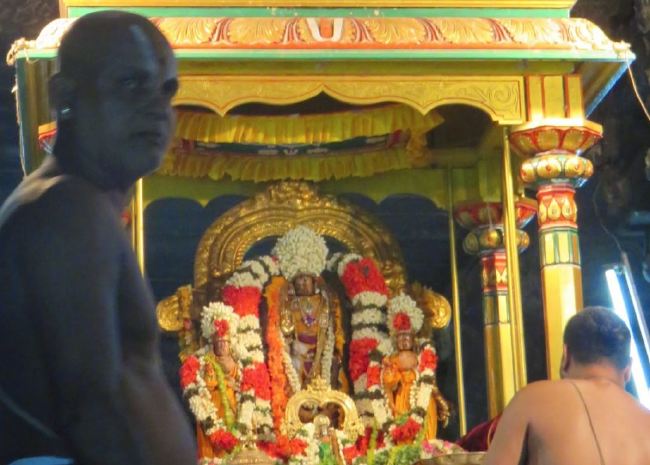 Kanchi Sri Devarajaswami Temple Pallava Utsavam day 1 2015 06
