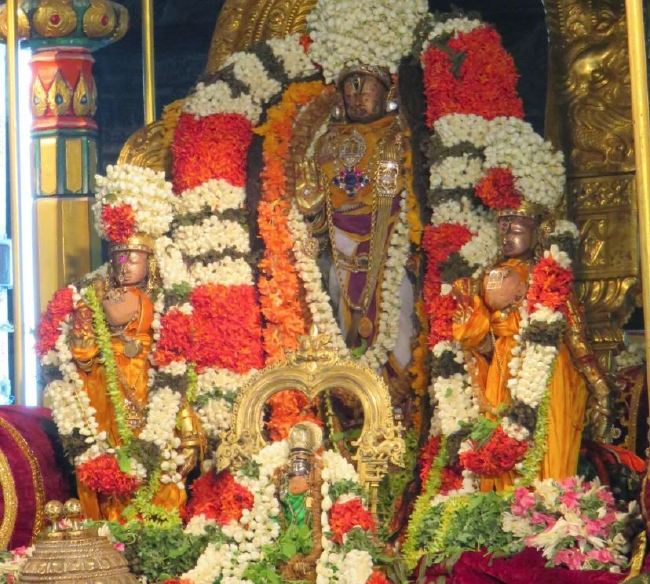 Kanchi Sri Devarajaswami Temple Pallava Utsavam day 1 2015 13