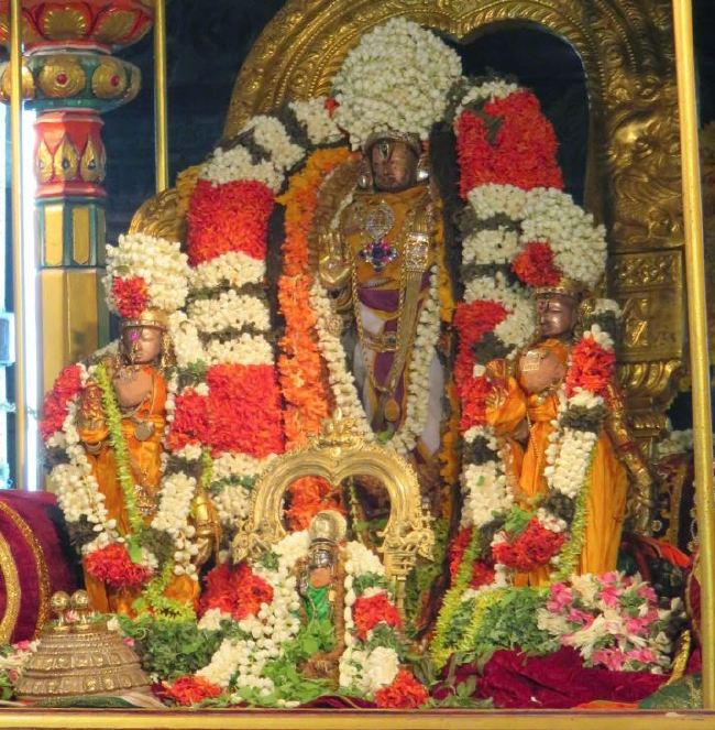 Kanchi Sri Devarajaswami Temple Pallava Utsavam day 1 2015 14
