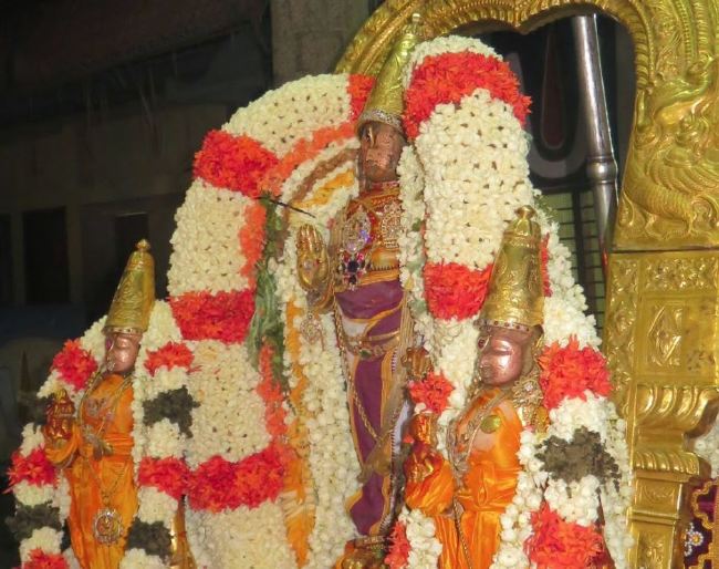 Kanchi Sri Devarajaswami Temple Pallava Utsavam day 1 2015 29