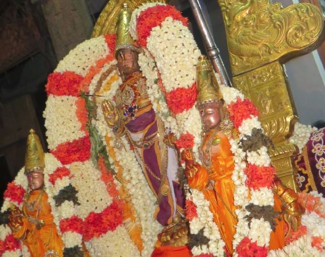 Kanchi Sri Devarajaswami Temple Pallava Utsavam day 1 2015 30