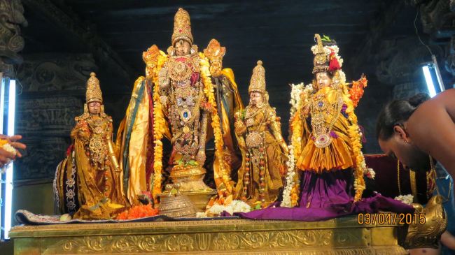 Kanchi Sri Devarajaswami Temple Panguni Uthram Utsavam day 7 2015 -39