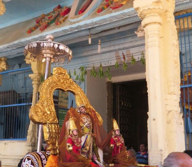 Kanchi Sri Perarulalan Sannadhi Pallava Utsavam day 5 2015 02