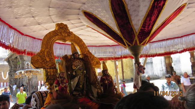 Kanchi Sri Perarulalan Sannadhi Pallava Utsavam day 5 2015 12