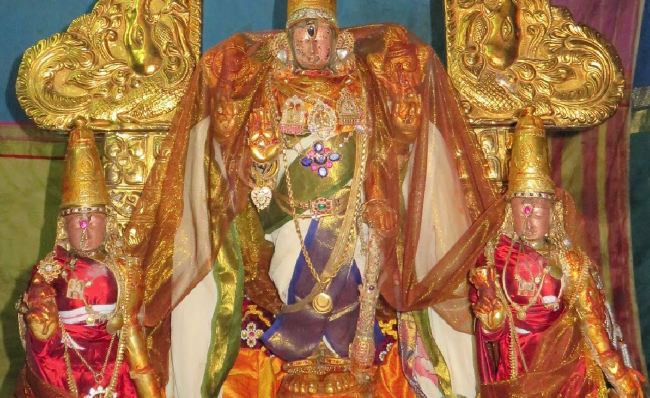 Kanchi Sri Perarulalan Sannadhi Pallava Utsavam day 5 2015 13
