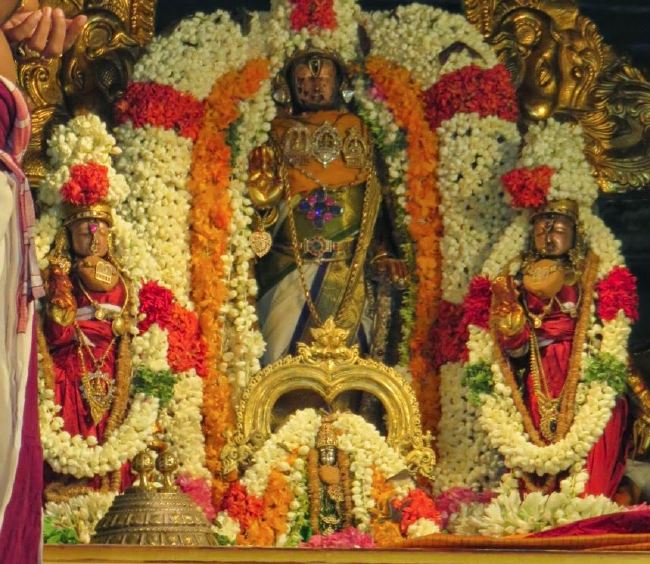 Kanchi Sri Perarulalan Sannadhi Pallava Utsavam day 5 2015 22