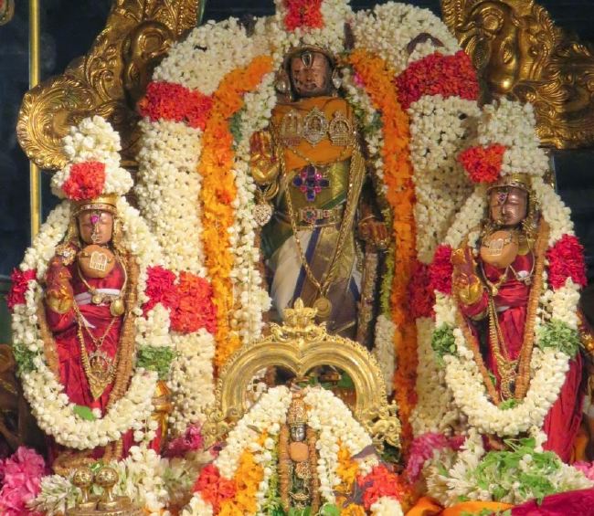 Kanchi Sri Perarulalan Sannadhi Pallava Utsavam day 5 2015 26