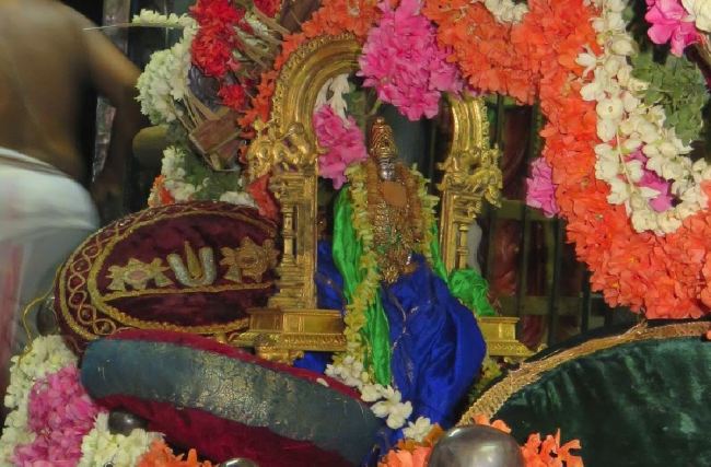 Kanchi Sri Perarulalan Sannadhi Pallava Utsavam day 5 2015 33