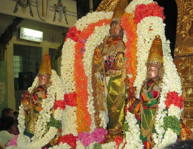 Kanchi Sri Perarulalan Sannadhi Pallava Utsavam day 5 2015 43