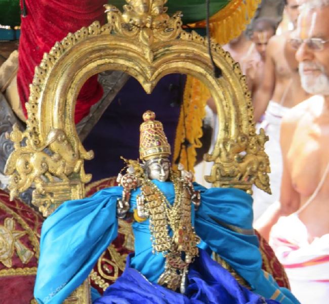 Kanchi Sri Perarulalan Sannadhi Pallava Utsavam day 6 2015 09
