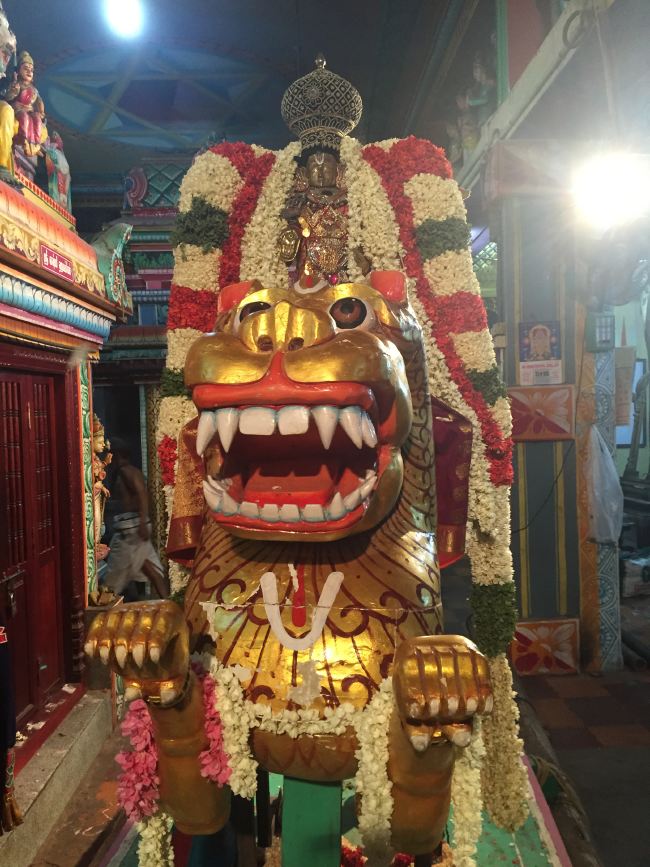 MGR nagar Sri Prasanna Venkatesa Perumal Temple avathara utsavam simha vahanam 2015 11