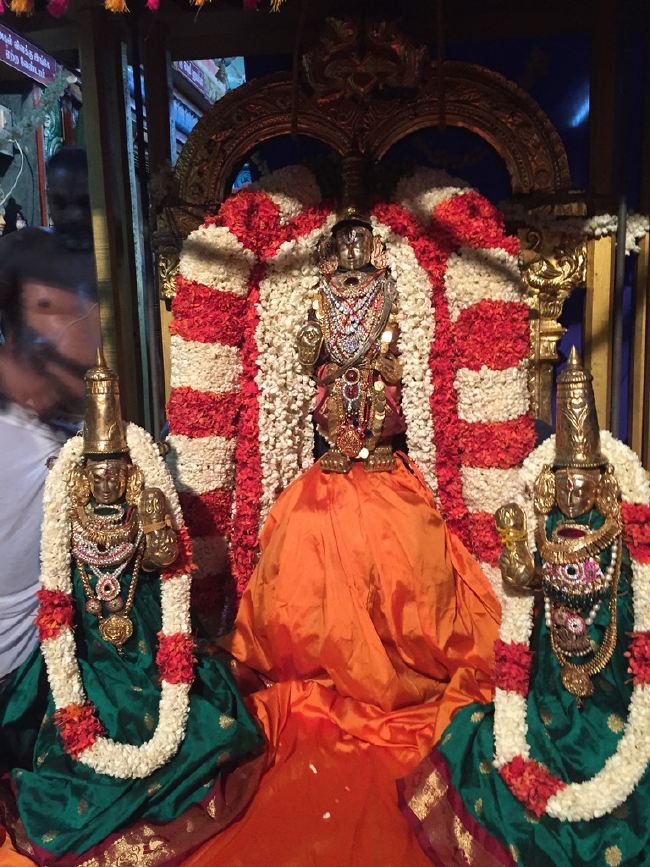 MGR nagari Sri Prasanna Venkatesa Perumal Temple Manmada Vaursha Avathara UTsavam day 1 morning 2015 01