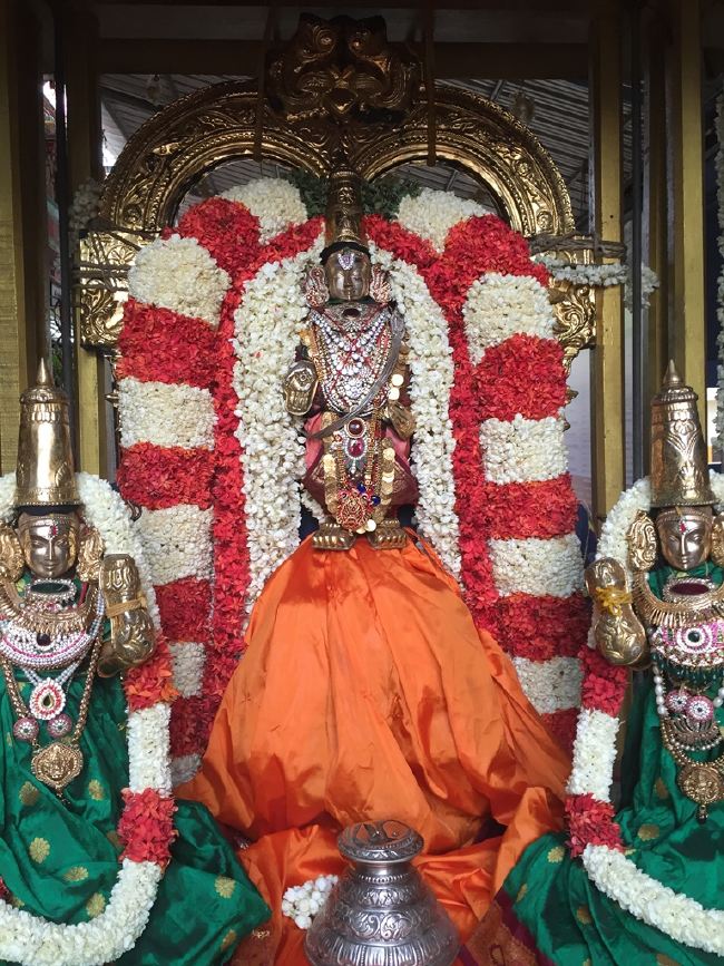 MGR nagari Sri Prasanna Venkatesa Perumal Temple Manmada Vaursha Avathara UTsavam day 1 morning 2015 02