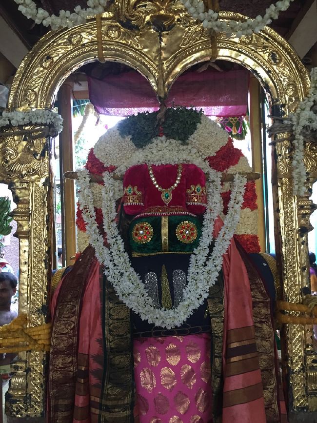 MGR nagari Sri Prasanna Venkatesa Perumal Temple Manmada Vaursha Avathara UTsavam day 1 morning 2015 07