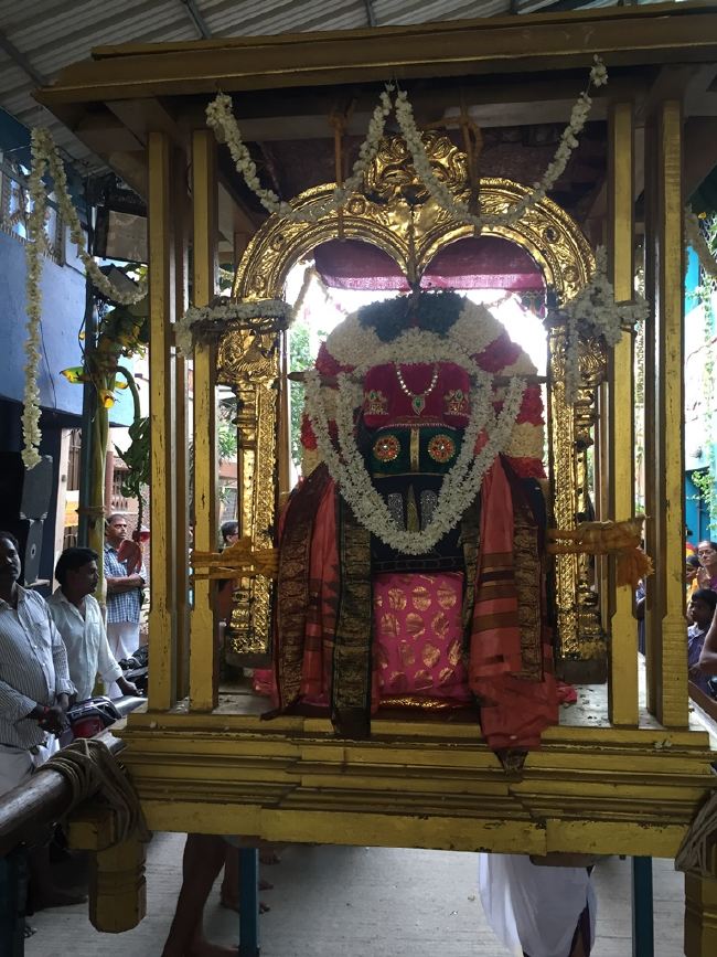 MGR nagari Sri Prasanna Venkatesa Perumal Temple Manmada Vaursha Avathara UTsavam day 1 morning 2015 08