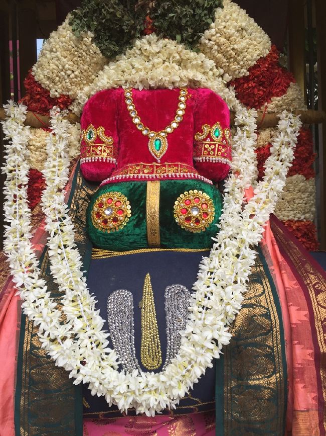 MGR nagari Sri Prasanna Venkatesa Perumal Temple Manmada Vaursha Avathara UTsavam day 1 morning 2015 09