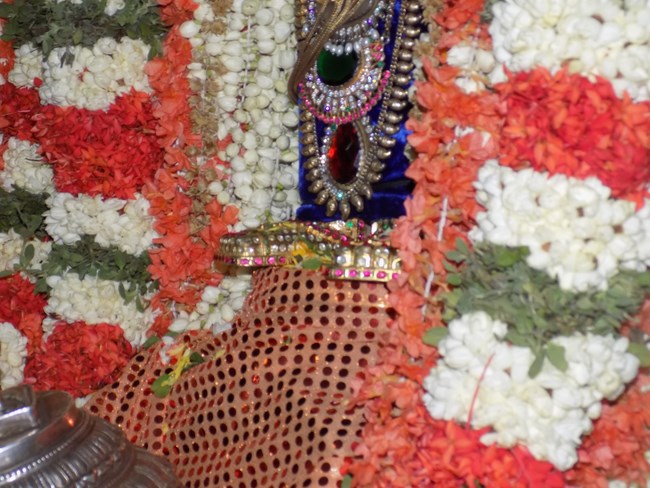 Madipakkam Sri Oppilliappan Pattabhisheka Ramar Temple Manmadha Varusha Pirappu Purappadu15