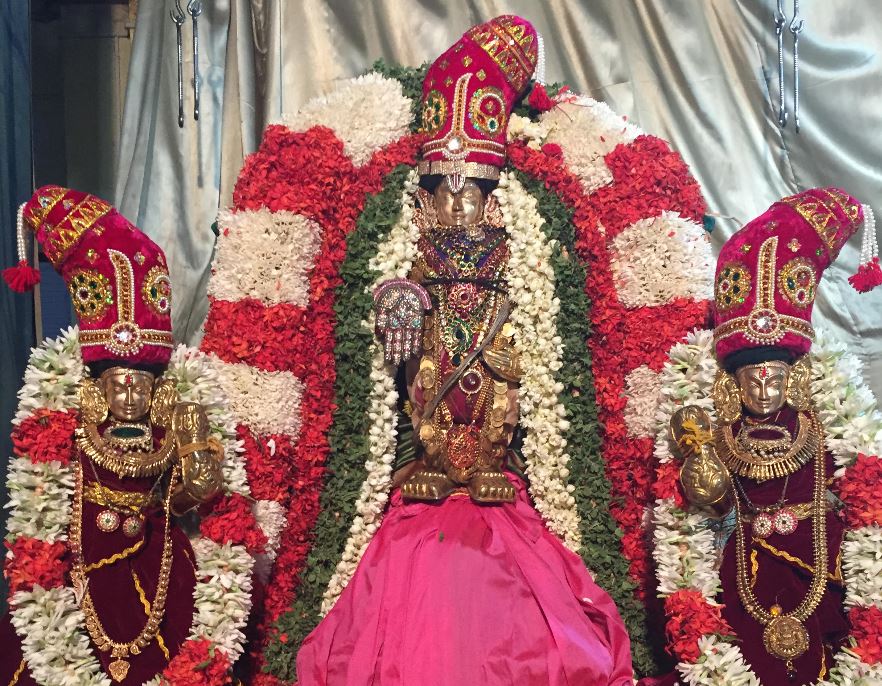 Mgr Nagar Manmadha varusha purappadu 2015
