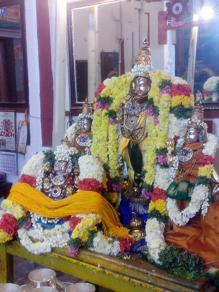 Mylai_Madhava perumal Thirukalyanam (2)