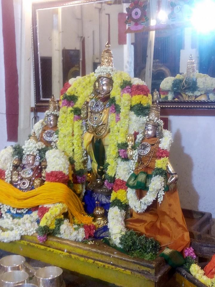 Mylai_Madhava perumal Thirukalyanam (3)