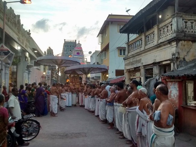 Mylapore SVDD Srinivasa Perumal Temple Manmadha Varusha Pirappu Purappadu10