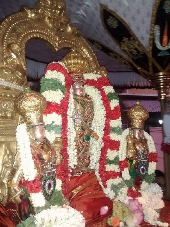 Mylapore SVDD Srinivasa Perumal Temple Manmadha Varusha Pirappu Purappadu15