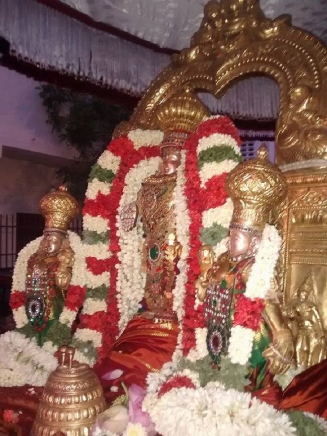 Mylapore SVDD Srinivasa Perumal Temple Manmadha Varusha Pirappu Purappadu2