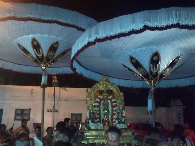 Mylapore SVDD Srinivasa Perumal Temple Manmadha Varusha Pirappu Purappadu5