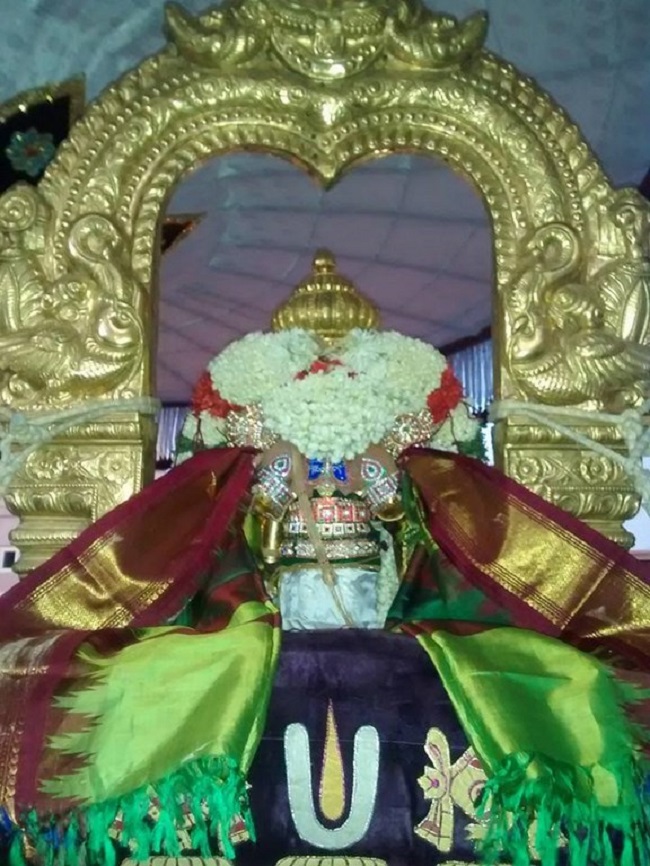 Mylapore SVDD Srinivasa Perumal Temple Manmadha Varusha Pirappu Purappadu7